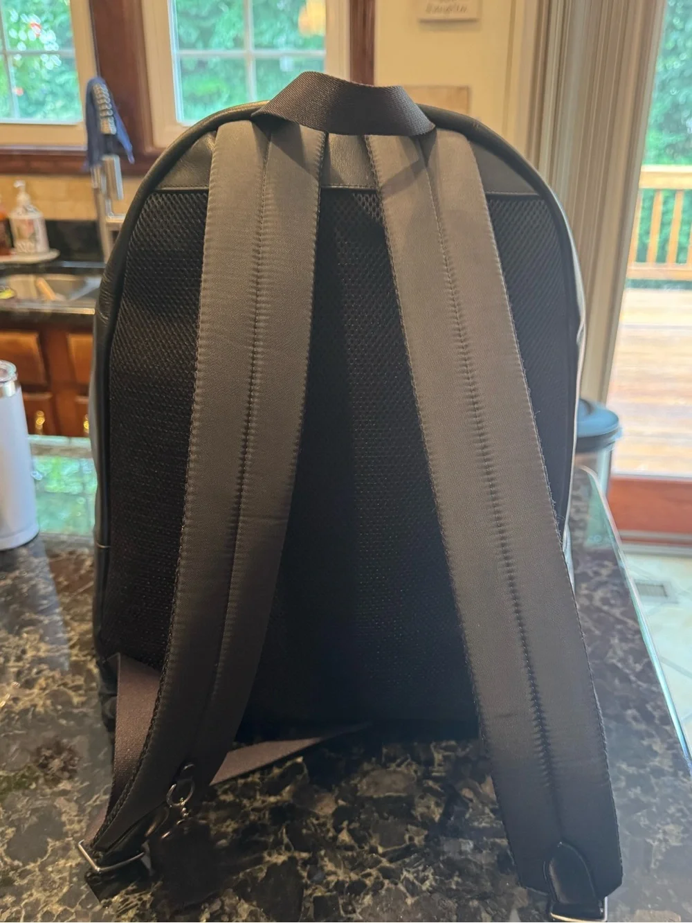 Coach sleek limited